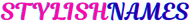 stylishnames.tech logo